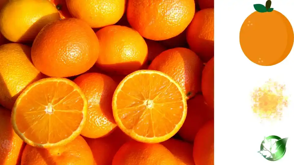 Orange Jelly Powder quality, format, and packaging should be matched to the buyer’s target application.